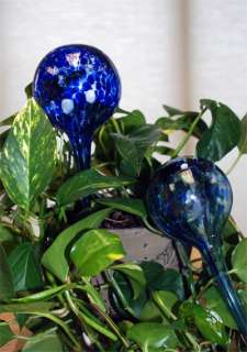Aqua Globes As Seen On TV to water your plants  