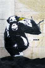 DOLK Monkey Zooicide  Graffiti street art  