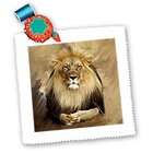 3dRose LLC Wild animals   Lion   Tile Napkin Holders