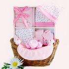 WMU Sweet Baby Girl Gift Basket