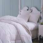   Majestic Cotton Goose Down Comforter in White   Size Oversize Queen