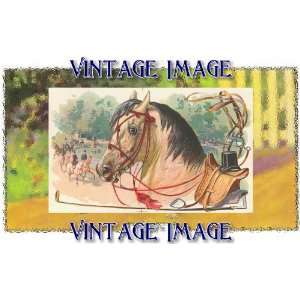   5cm) Acrylic Fridge Magnet Horses Horse Vintage Image