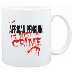   Penguin is not a crime  Animals 