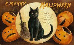 Fabric Block Halloween Vintage Postcard Image Black Cat  