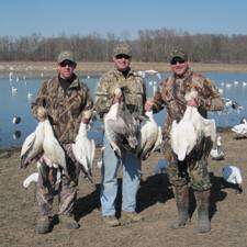 Snow Goose Hunting with Snows Unlimited  