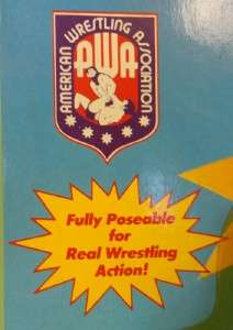   All Star AWA Fabulous Ones Tag Team Pro Wrestling Action Figures MOC