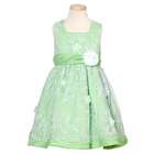 Rare Editions Cute Green Rose Spring Easter Dress Infant Girls 12M