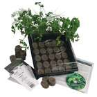  Indoor Culinary Herb Garden Starter Kit