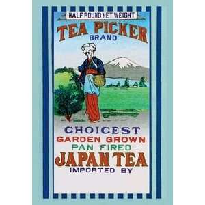 Tea Picker Brand   Paper Poster (18.75 x 28.5) Sports 