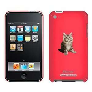  Maine Coon on iPod Touch 4G XGear Shell Case Electronics