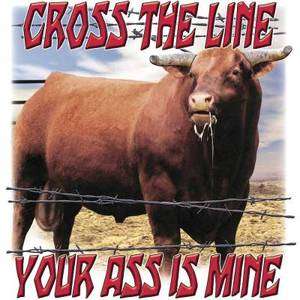 Cross The Line Your A** Is Mine Bull Steer T Shirt Hoodie Tank Top 