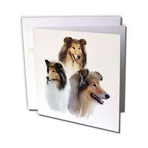  Dogs Rough Collie   Rough Collie   Greeting Cards 6 