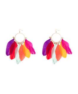 null (Multi Col) Feather Ring Earrings  241198799  New Look