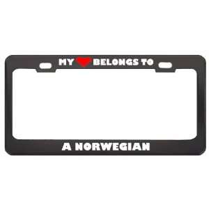   Norwegian Country Flag Metal License Plate Frame Holder Border Tag