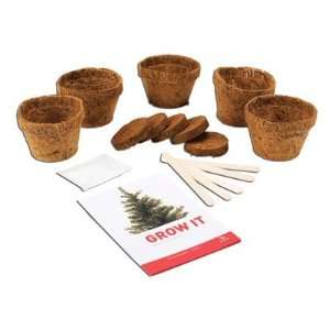  Grow It Planting Kit Grow Your Own Christmas Tree Kit 