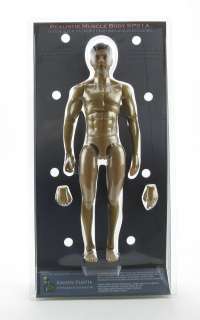 kaustic platik Realistik Male Muscle Body 1/6 Action Figure KP01A 
