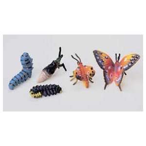  Caterpillar To Butterfly Set Toys & Games