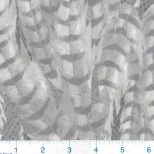  56 Wide Printed Chiffon Feathers Smoke Fabric By The 