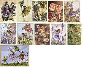Stamps Happen Rubber Stamp Lilac Jasmine Rose Chicory Candytuft Flower 