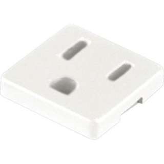 Progress Lighting Grounded Convenience Outlet Accessory P8608 30 at 