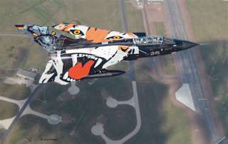 Revell 04660 Tornado Black Panther Kampfflugzeug Bausatz 172  