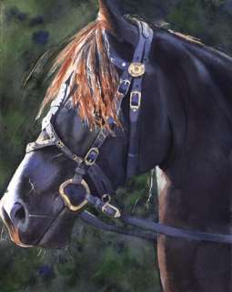 PRINT Friesian Morgan Arabian Horse Art Painting Black  