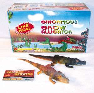 JUMBO GROWING ALLIGATOR novelty grow gator swamp toys  