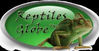 Reptilesglobe ist das Original und steht für Top Produkte zum kleinen 