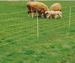 RAIDEX Sheep Marking Spray   Green  