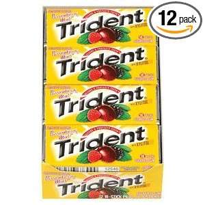 CDB67309   Trident Gum, Individually wrapped, 12/PK Passsionberry Mnt
