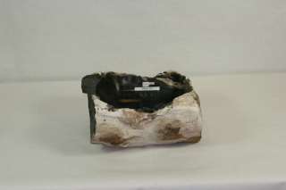   Petrified Wood Fossil Stone Vessel Bathroom Sink 15.25x13 New