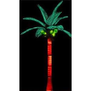   Palm Trees   12 Tiara Palm Tree With Coconuts   Natural Green Patio