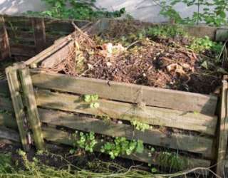 Organic Composting Dvd Homesteading Compost Worm Bin  