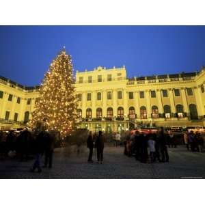 Christmas Tree in Front of Schonbrunn Palace at Dusk, Unesco World 