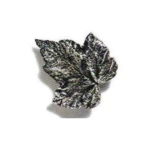  Modern objects   pinecones & jasmine silver maple knob 