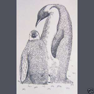   Emperor Penguin Art Lithograph #55 Word Drawing by Kline HAPPY FEET