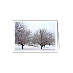 Ralph Edwards Park in Winter Card
