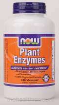Plant Enzymes 240 vCaps, Now Foods, Digestive Support 733739029676 