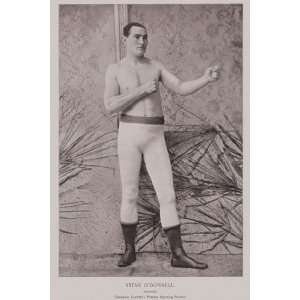  Steve ODonnell   Australian Boxer by Unknown 12x18