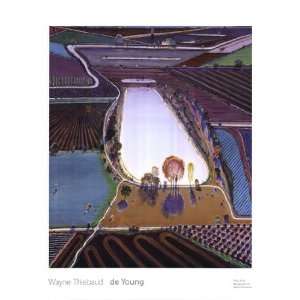    Ponds and Streams by Wayne Thiebaud 26x36