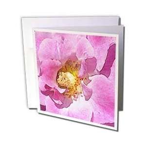 Rose Floral Art Designs Inspired by Nature Flowers   Greeting Cards 12 
