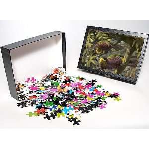   Puzzle of A pair of exotic parrots from Mary Evans Toys & Games