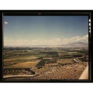  Photo Cherry orchards, farm lands and irrigation ditch at 