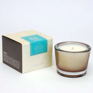  Blue Agave Small Candle by Aquiesse