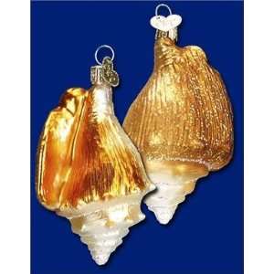  Golden Seashell Old World Glass Ornament
