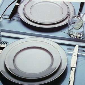  Bernardaud Tandem Dinner Plate Dinnerware