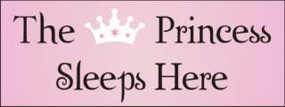 New Stencil #G8 ~ The Princess Sleeps Here with Tiara crow   paint 