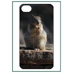 Hamster Cute Animal Pet Style Design iPhone 4 iPhone4 Black Case Cover 