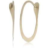 Shoes & Handbags gold hoops   designer shoes, handbags, jewelry 