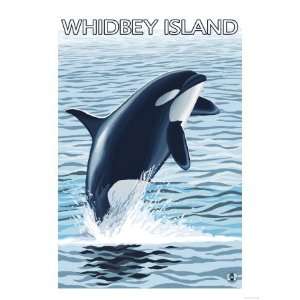  Whidbey Island, Washington   Orca Jumping Giclee Poster 